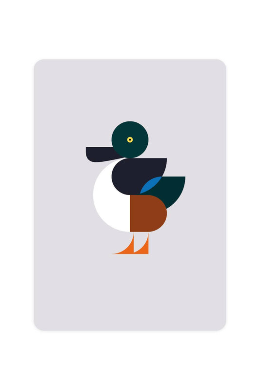 Postcard with Shoveler