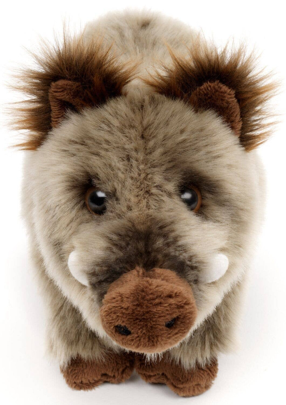 Peluche Sanglier