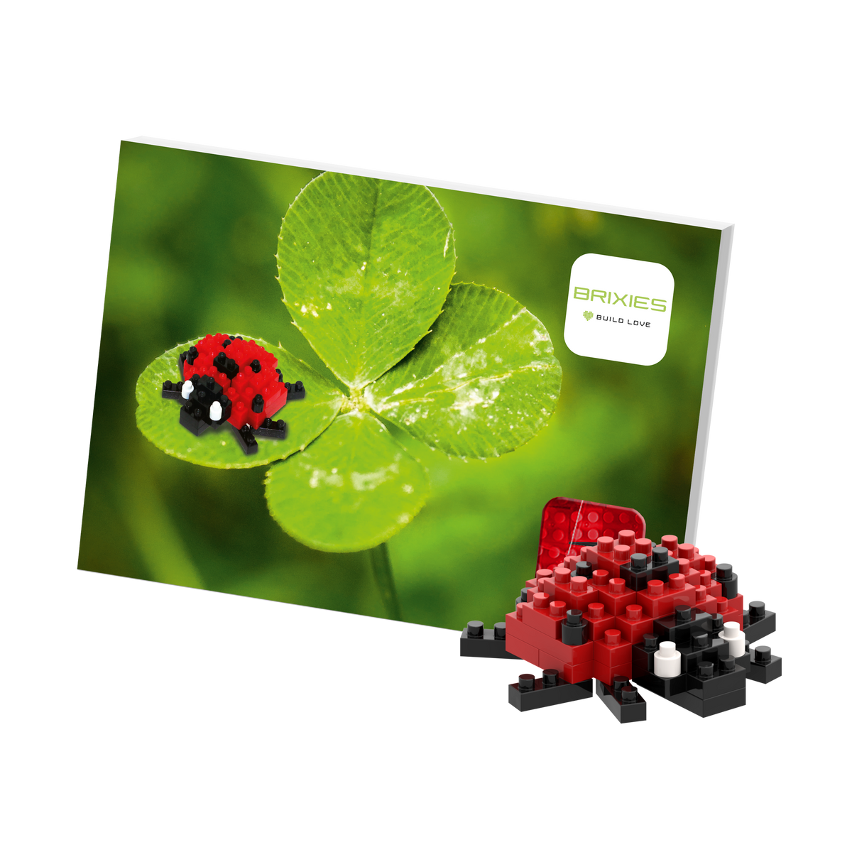 Carte Postale BRIXIES Coccinelle