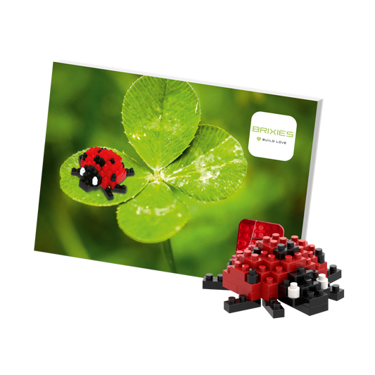 Brixies ladybug postcard
