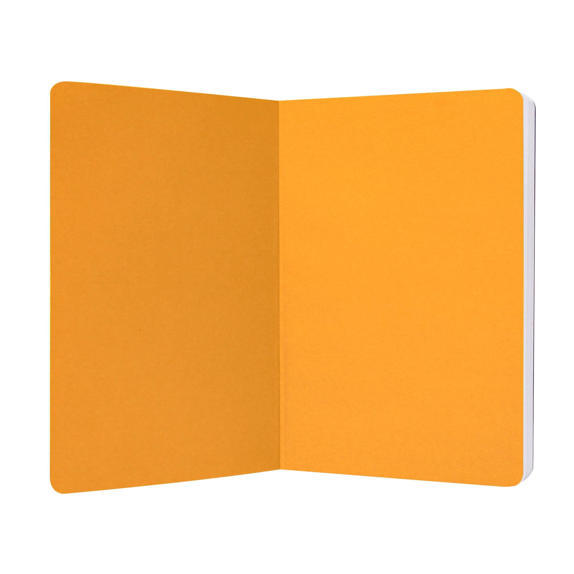 Carnet A5 souple Harry Potter - Gryffondor