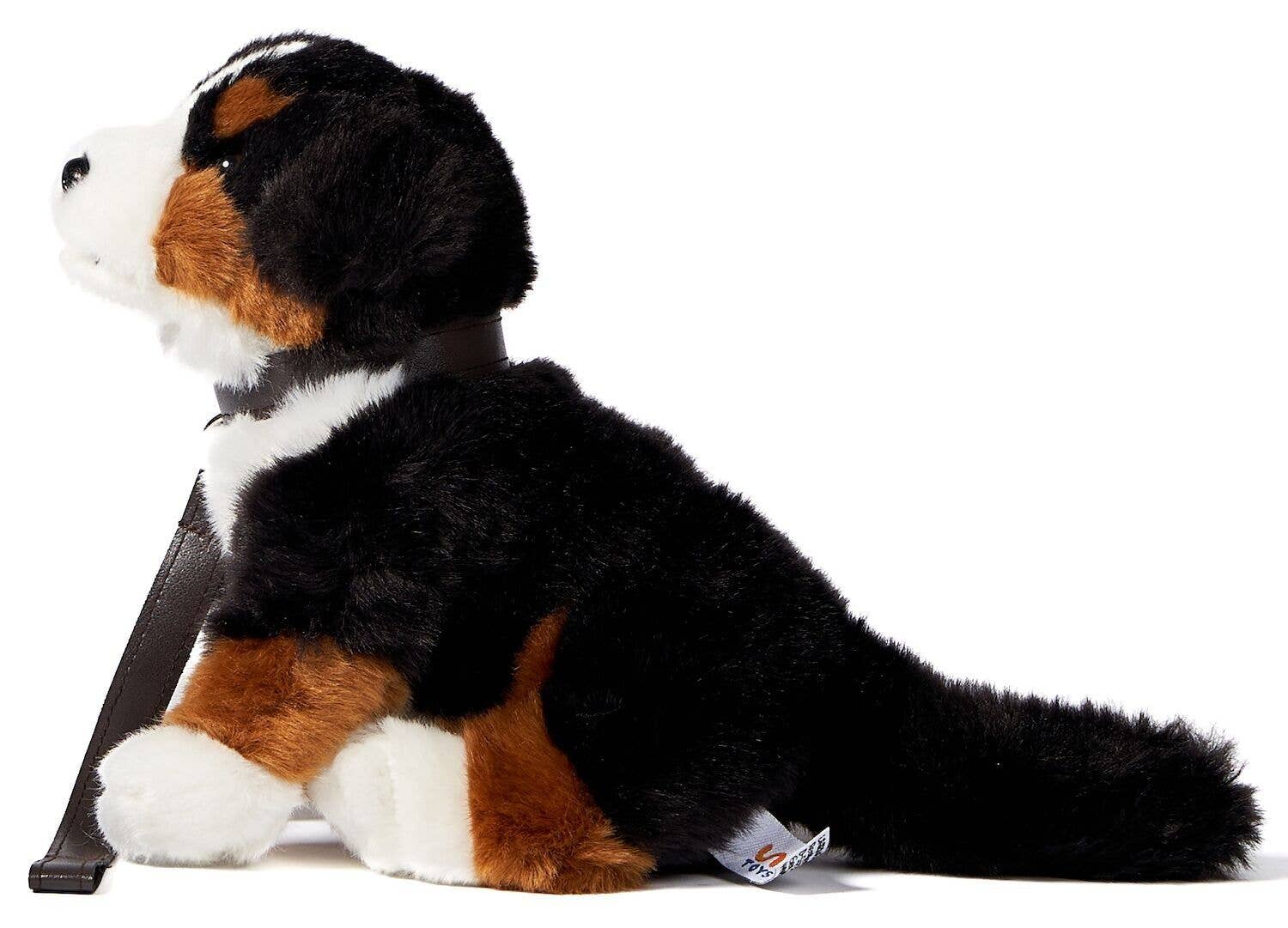 Jouet en peluche pour chiot bouvier bernois avec laisse Uni Toys