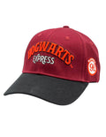 Harry Potter-pet - Zweinstein Express