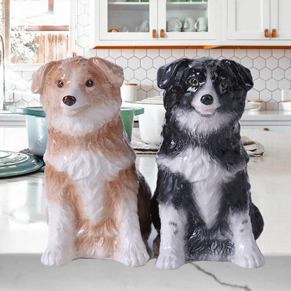 Sel et poivre Border Collies