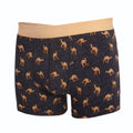 Camel Boxer