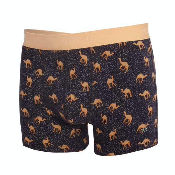 Kameel Boxer