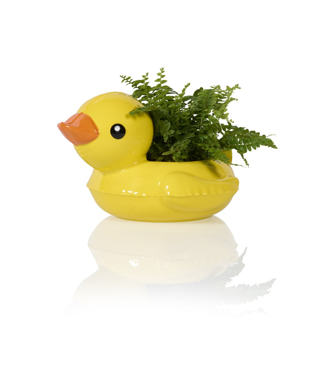 pot canard flottant bitten