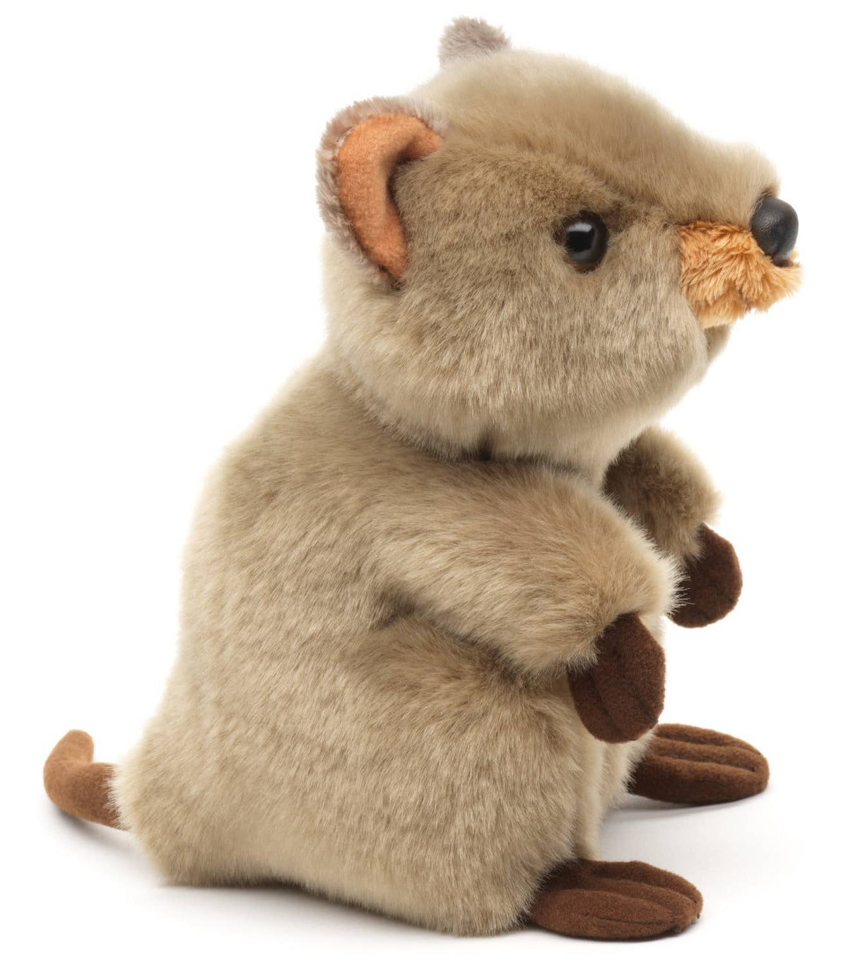 Peluche Quokka