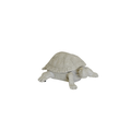 Schildpaddenbox - Zand