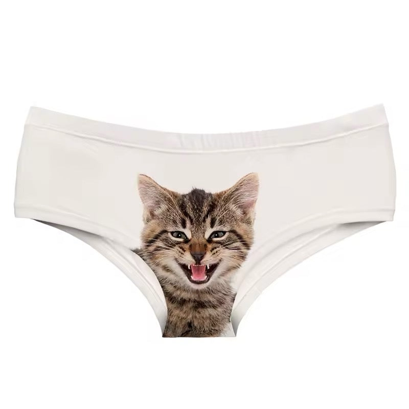culotte chat va bien