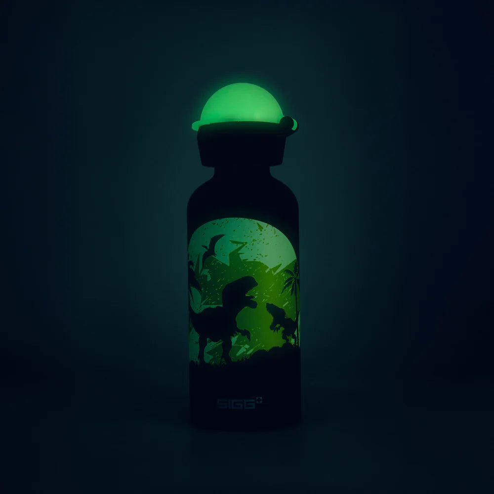 KBT Glow Moon Dinos 0.4 L Children's Water Bottle 