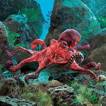 Marionnette à main Poulpe rouge 2974/ Poulpe rouge Folkmanis réaliste