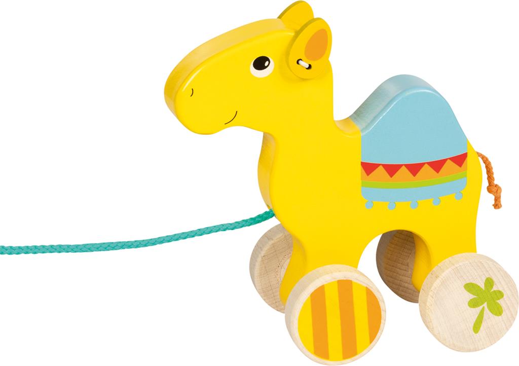 Dromedary