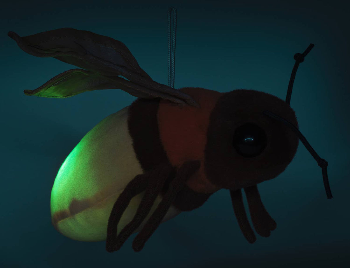 Peluche Luciole Lumineuse