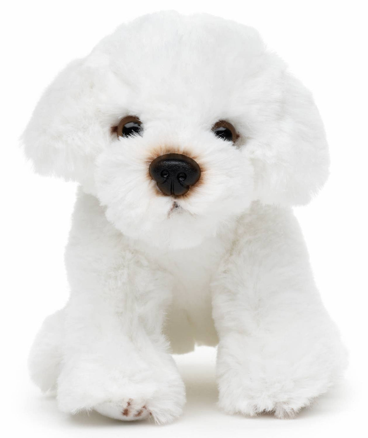 Peluche Bichon Maltais Assis