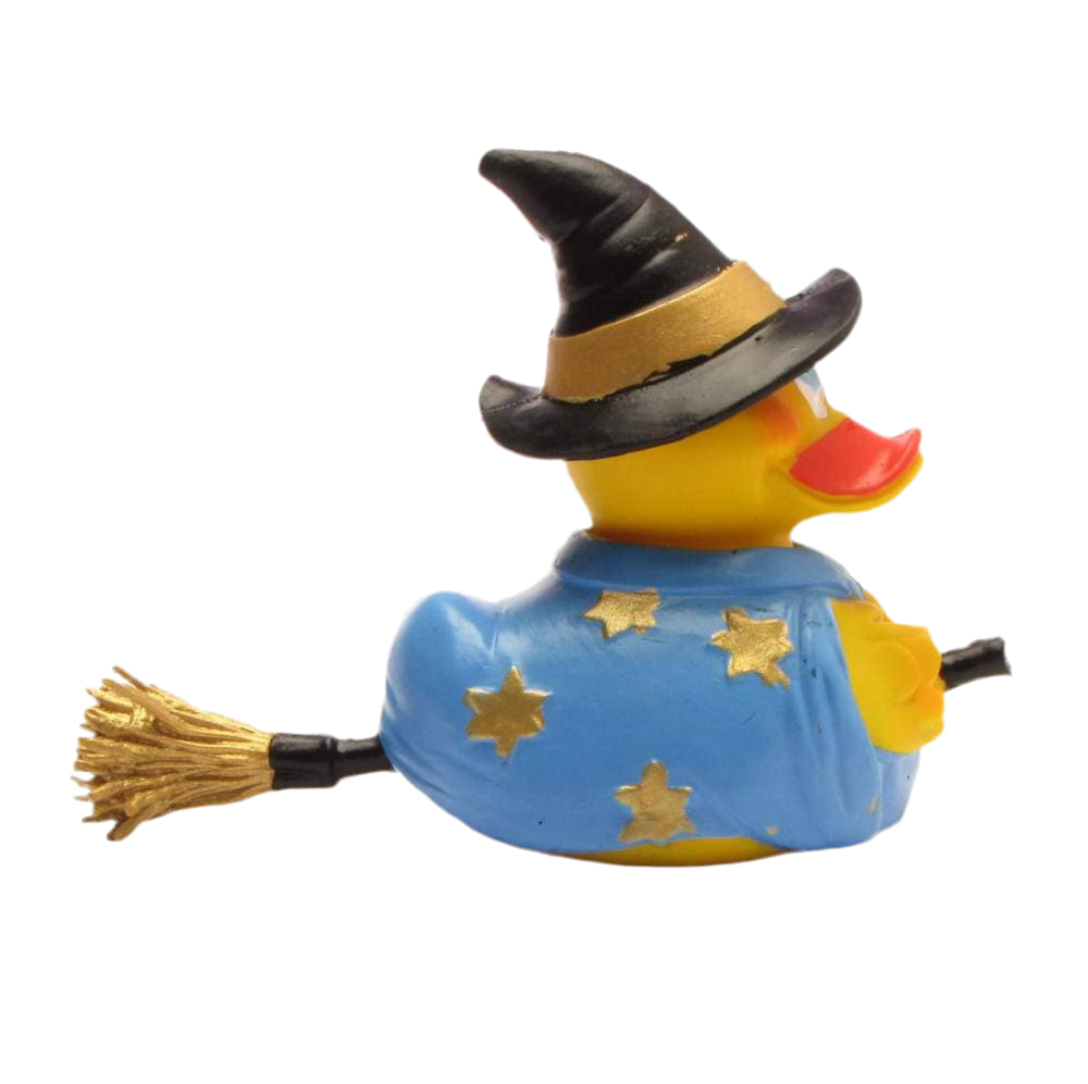 Canard Sorcière