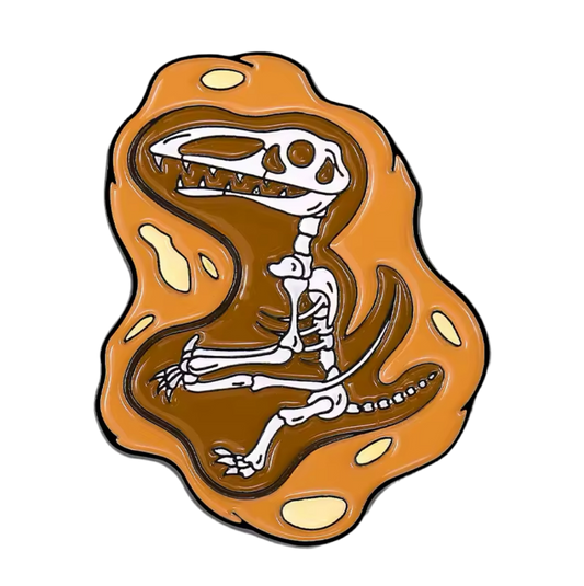 pins fossil de pterodactyle