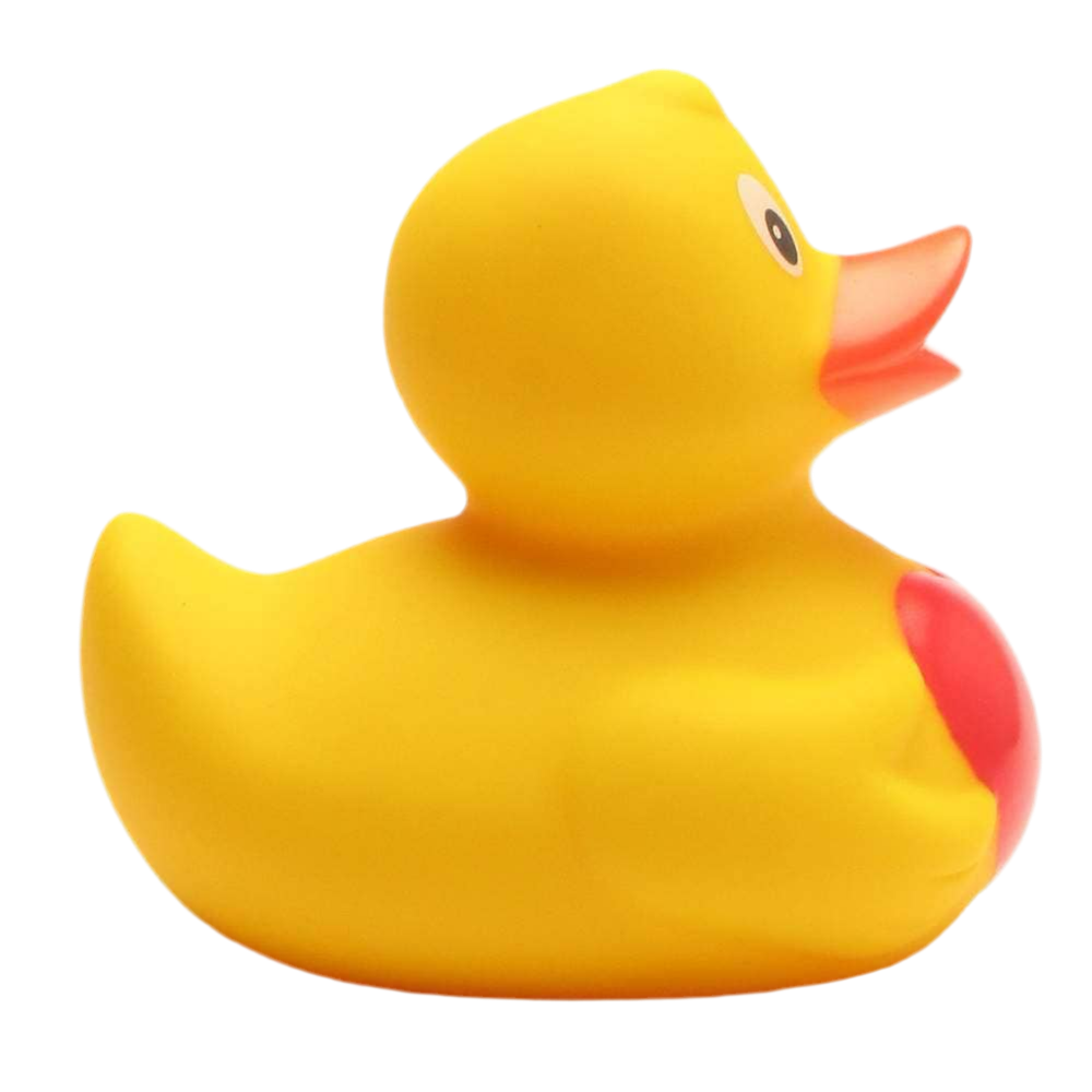 Duck with Heart