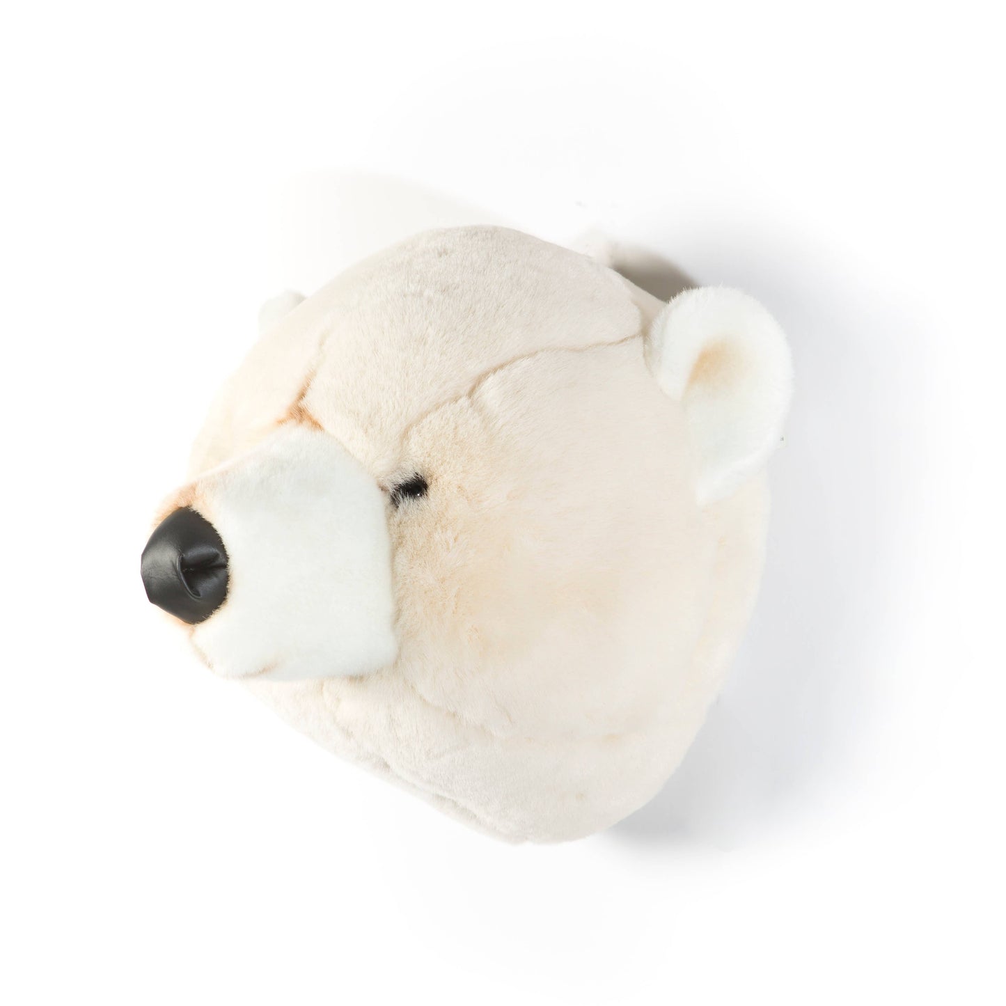 Basil the Polar Bear Plush Wall Decoration