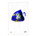 Torchon Mr Amazon le Poisson-ange Royal