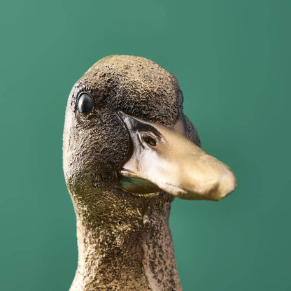 Porte-cartes Canard Or, Résine