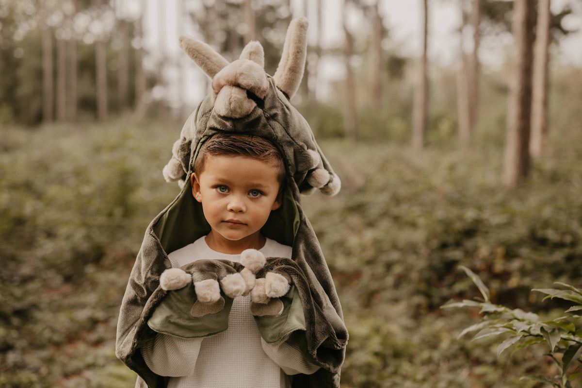 Déguisement enfant dinosaure Wild & Soft