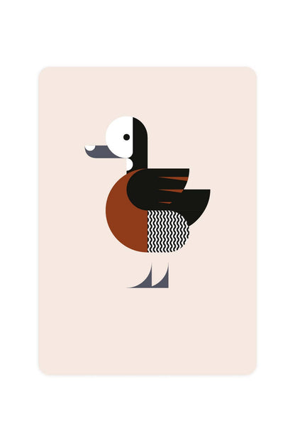Widowed Whistling Duck Postcard