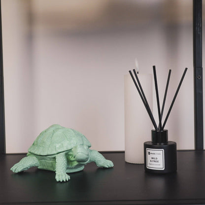 Boîte Tortue - Vert menthe