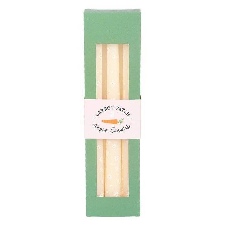 Set of 3 tapered candles Carrot Patch White Daisy