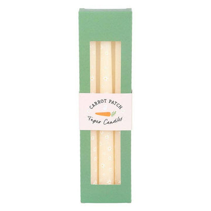 Set of 3 tapered candles Carrot Patch White Daisy
