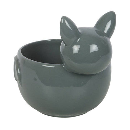 Bol de friandises d'Halloween mignon en forme de chauve-souris