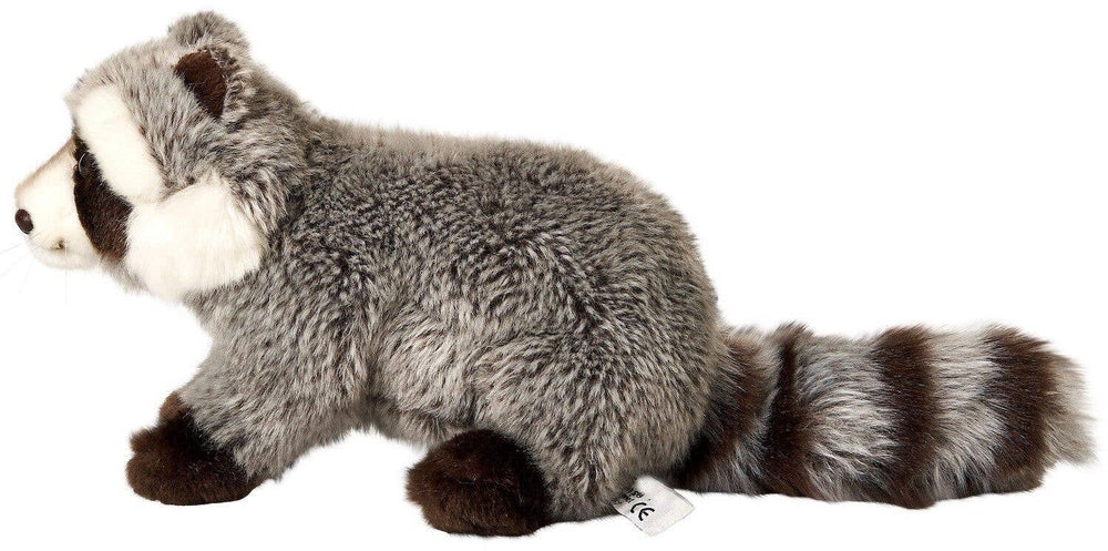 Peluche Raton Laveur