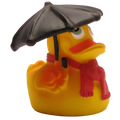 Rainy Weather Duck