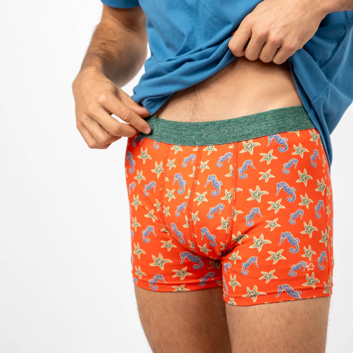 Boxer En Coton Biologique - Hippocampe