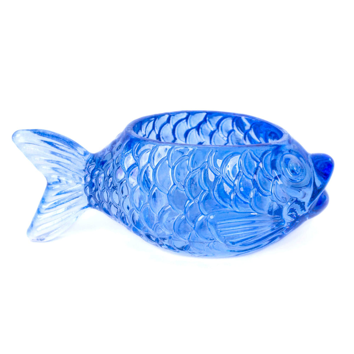 Conteneurs Poisson 3-Pack