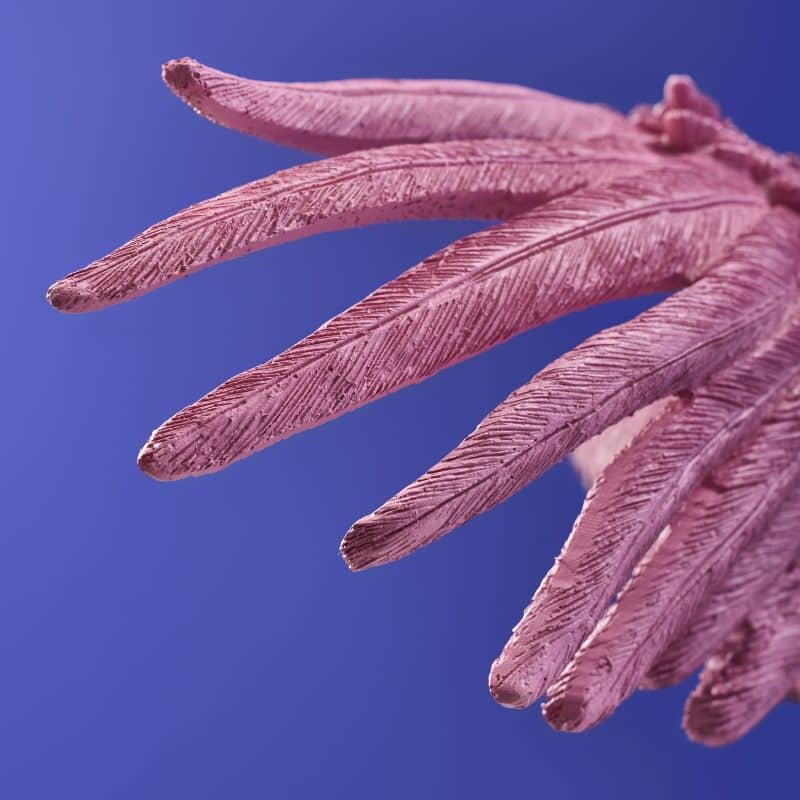 Plafonnier Perroquet rose