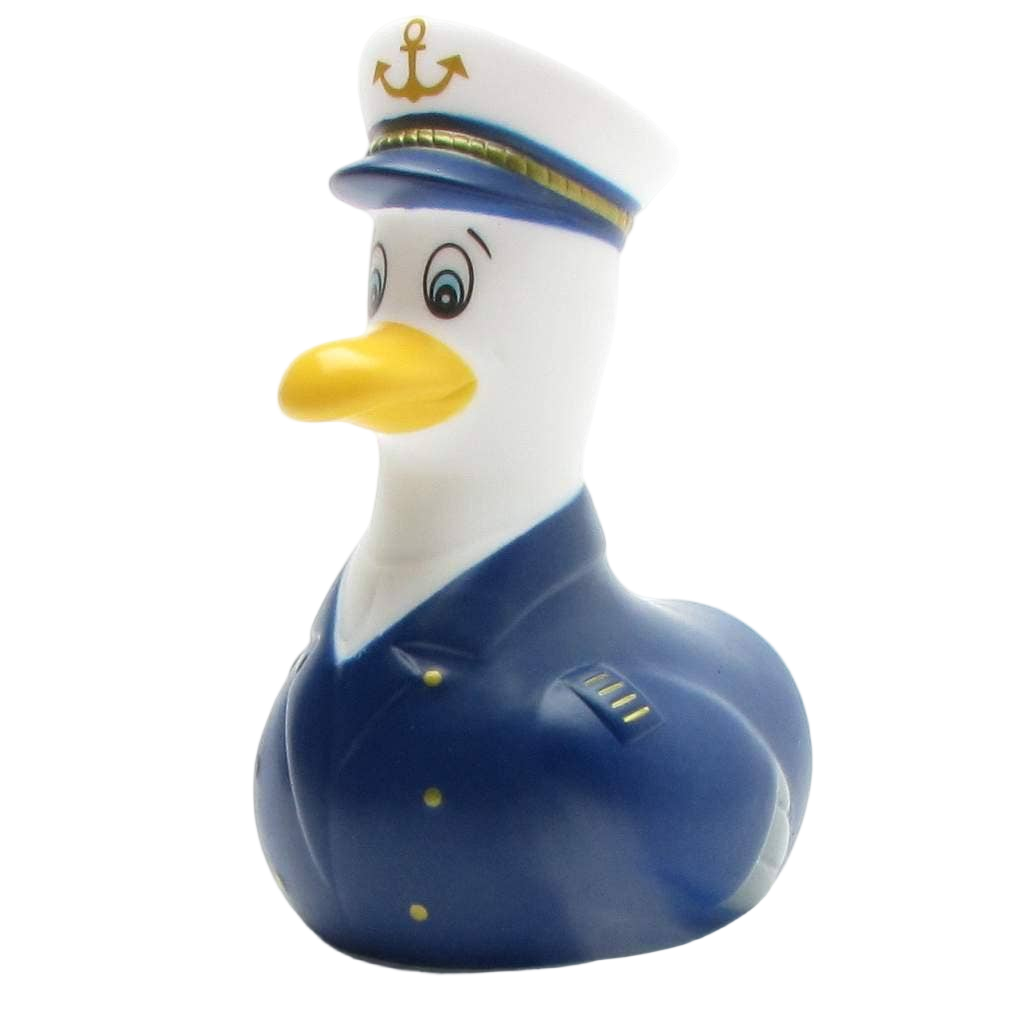 Mouette Capitaine