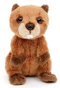 Peluche Groundhog Assis
