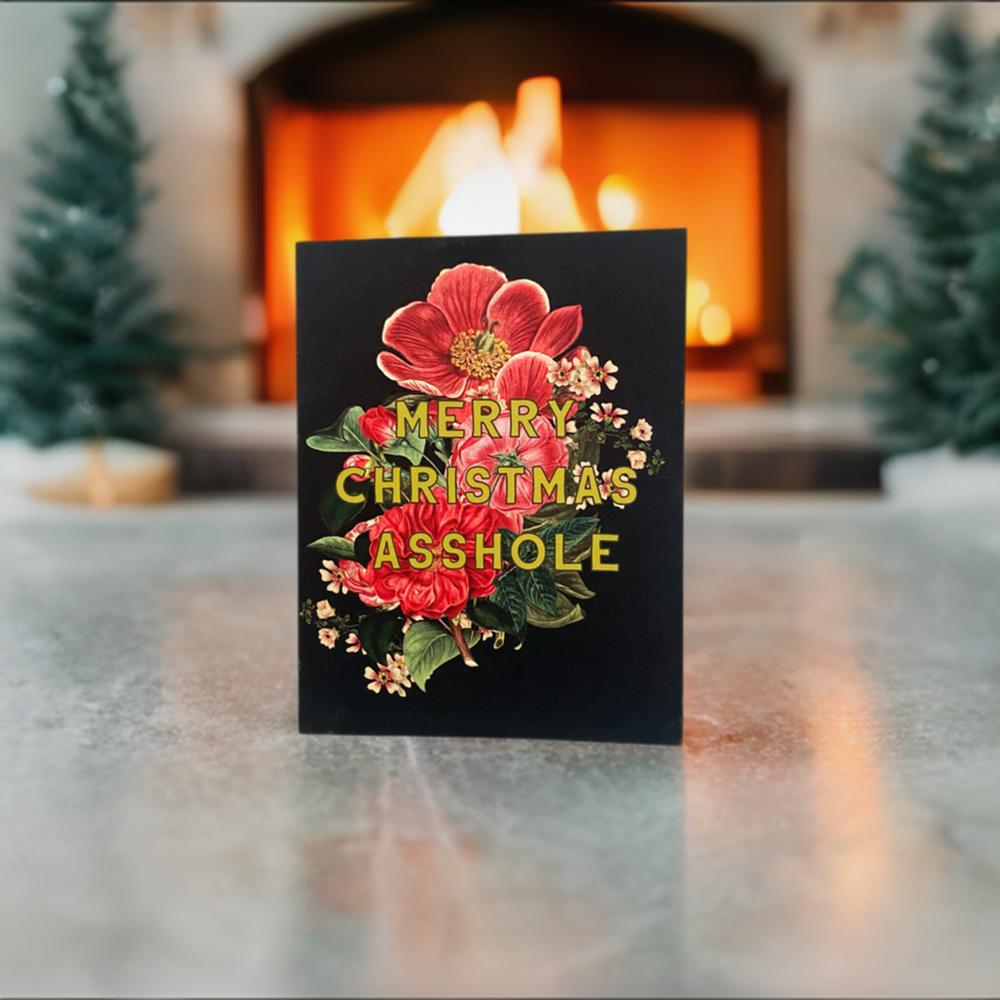 Coffret de 10 Cartes "Merry Christmas Asshole"