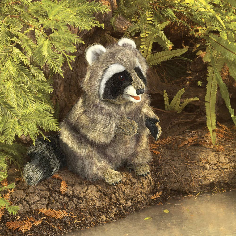 Marionnette à main Raccoon 3075/ Raccoon Folkmanis réaliste