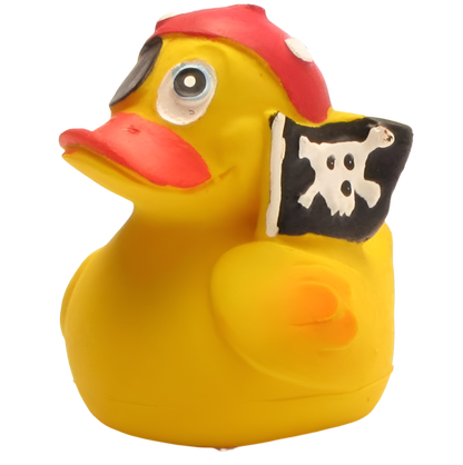 Pirate Duck