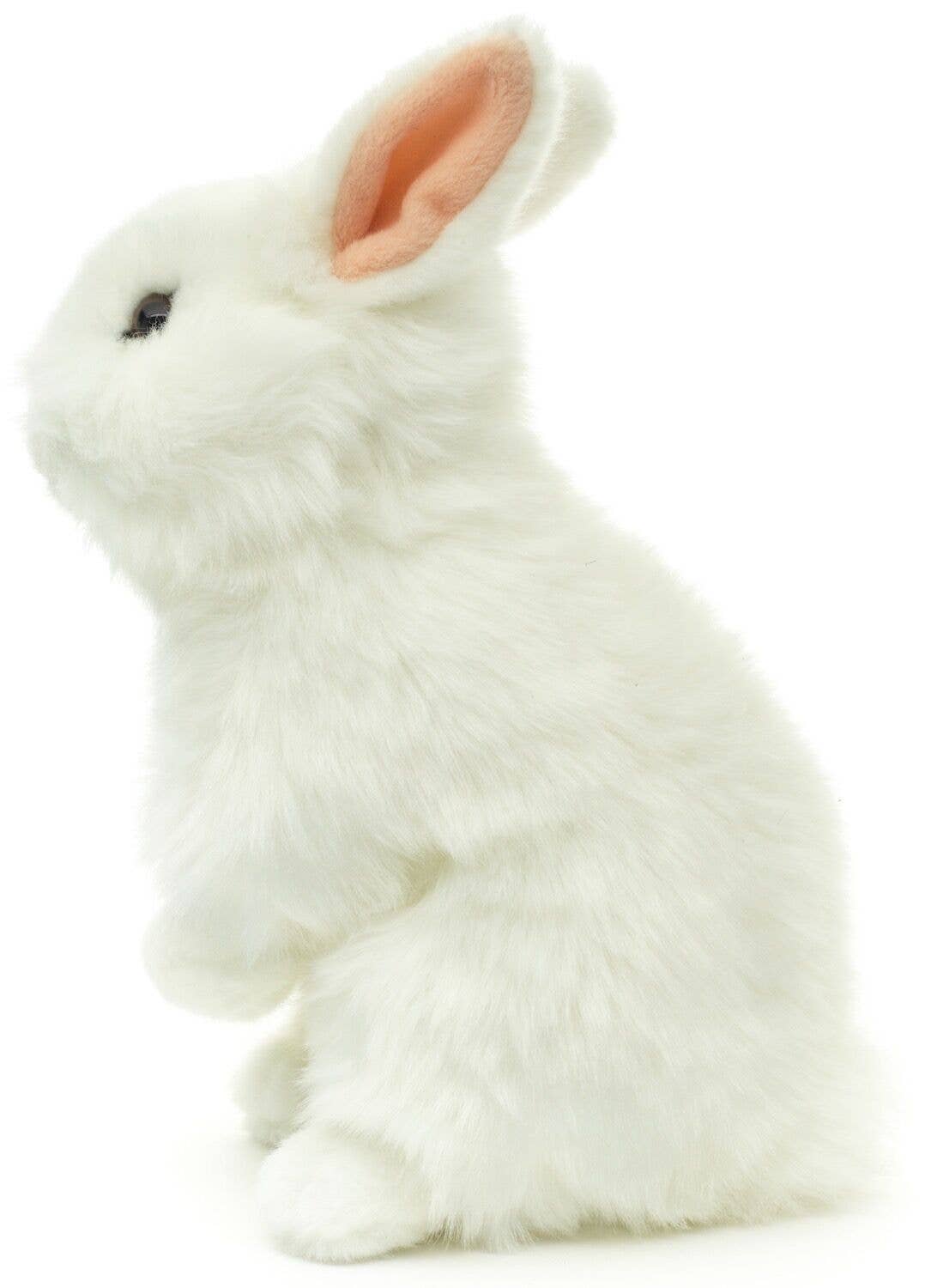 Peluche Lapin Lionhead St. Blanc