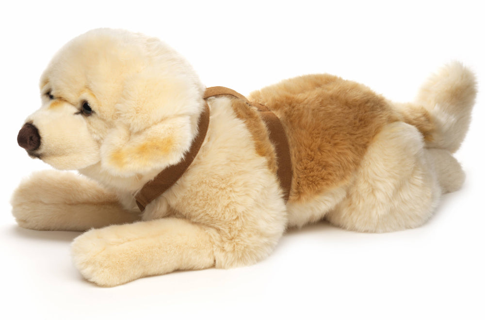 Peluche Golden Retriever, Couché (avec Harnais) - 60 cm (Longueur)