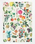 Torchon – Fruits & Légumes