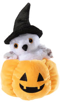 HALLOWEEN Peek-A-Boo Chouette GRS