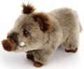 Peluche Sanglier