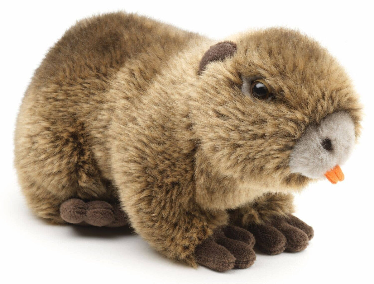 Peluche Nutria