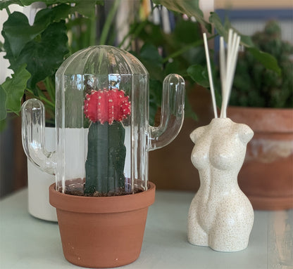 Diffuseur de parfum Aphrodite