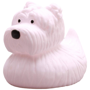 Canard Westie – West Highland White Terrier