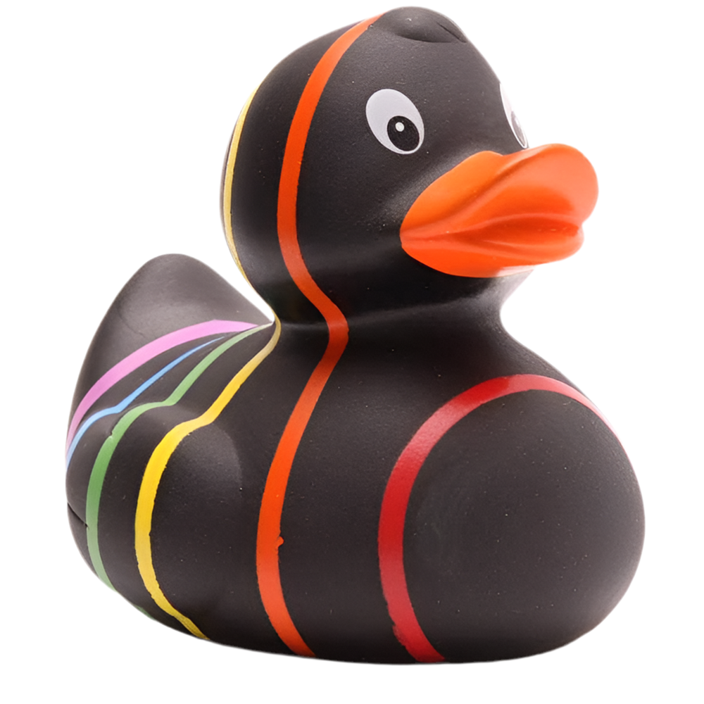 Canard Classique Arc-en-ciel Noir